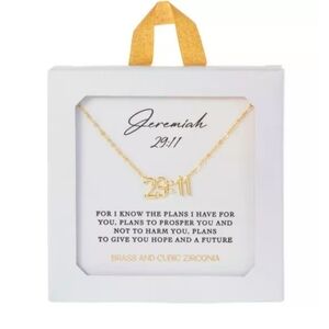 Jeremiah 29:11 CZ Scripture Bible Verse Necklace 16"